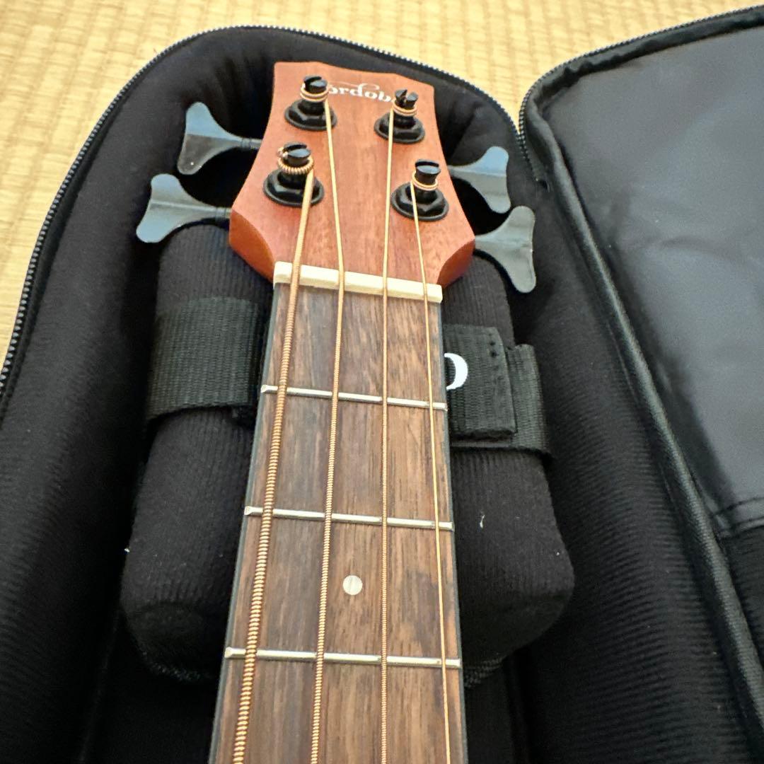 Cordoba Mini II Bass MH-E アコースティックベース