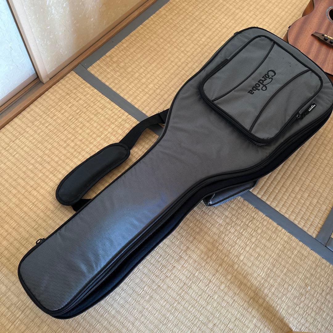 Cordoba Mini II Bass MH-E アコースティックベース
