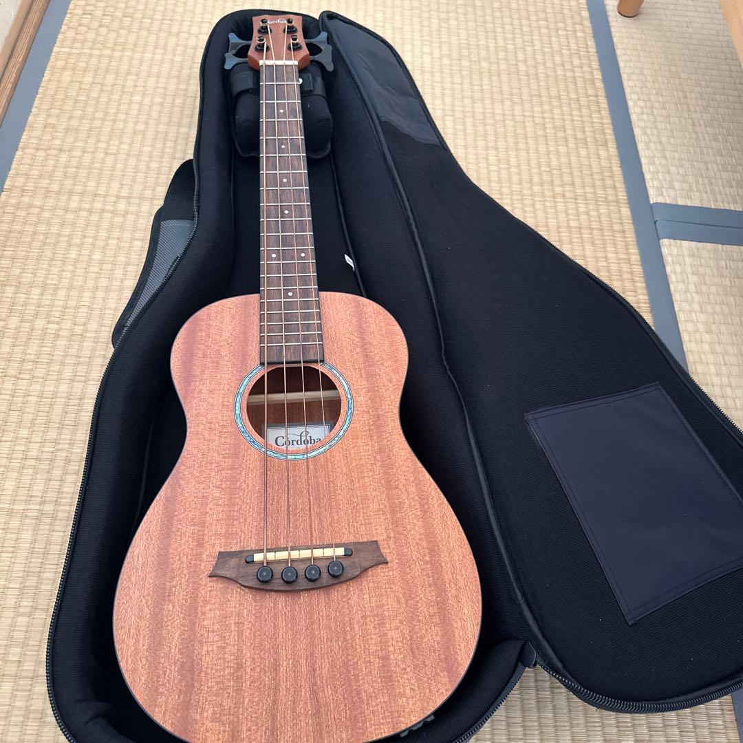 Cordoba Mini II Bass MH-E アコースティックベース