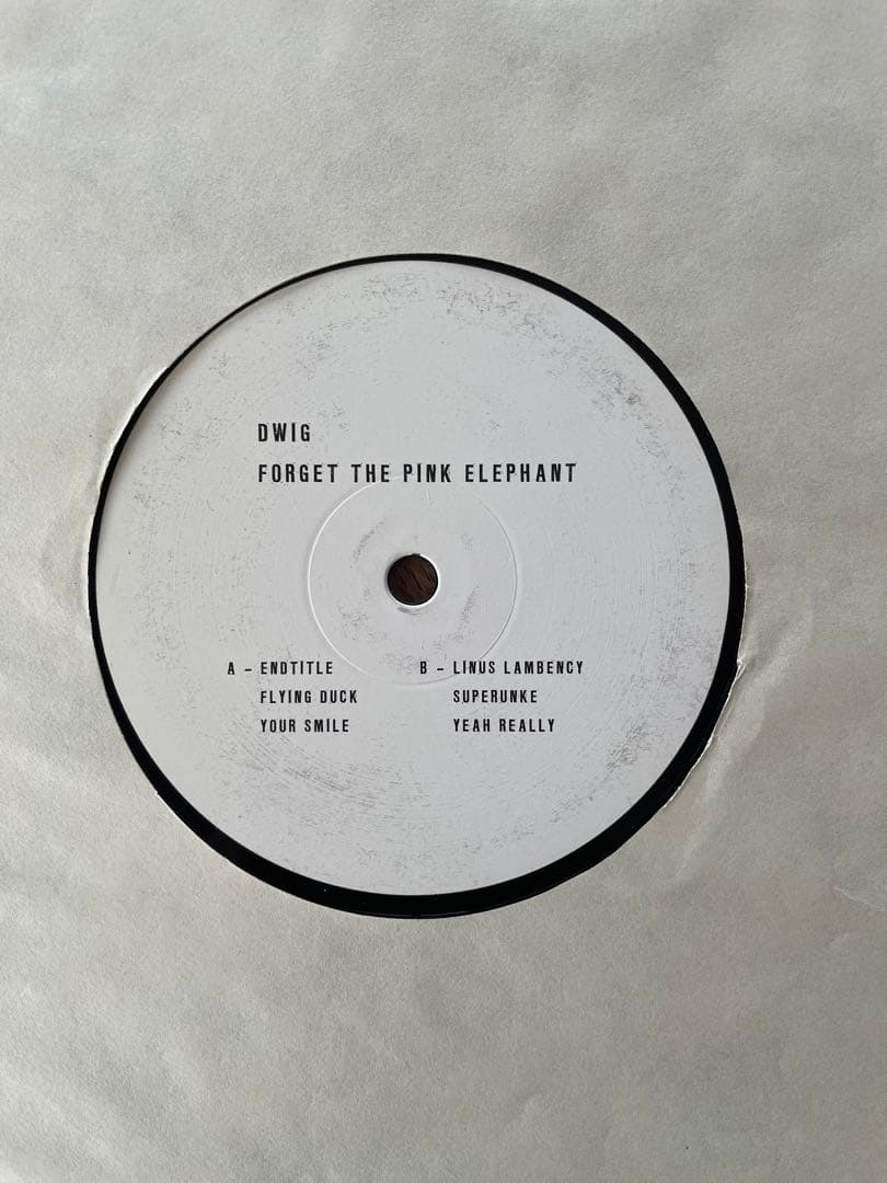 その他 Dwig Forget The Pink Elephant 2LP 12\"