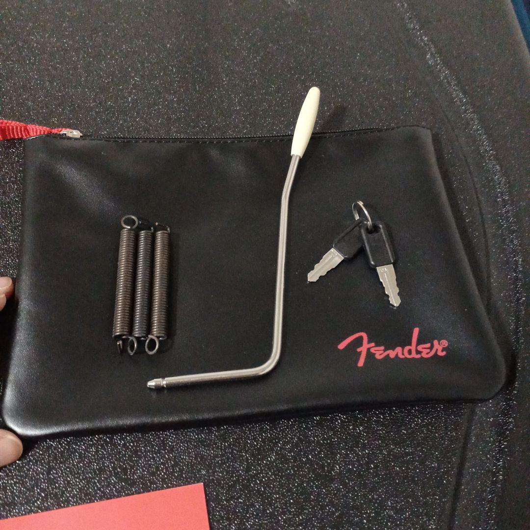 ギター Fender Stratocaster American Pro II