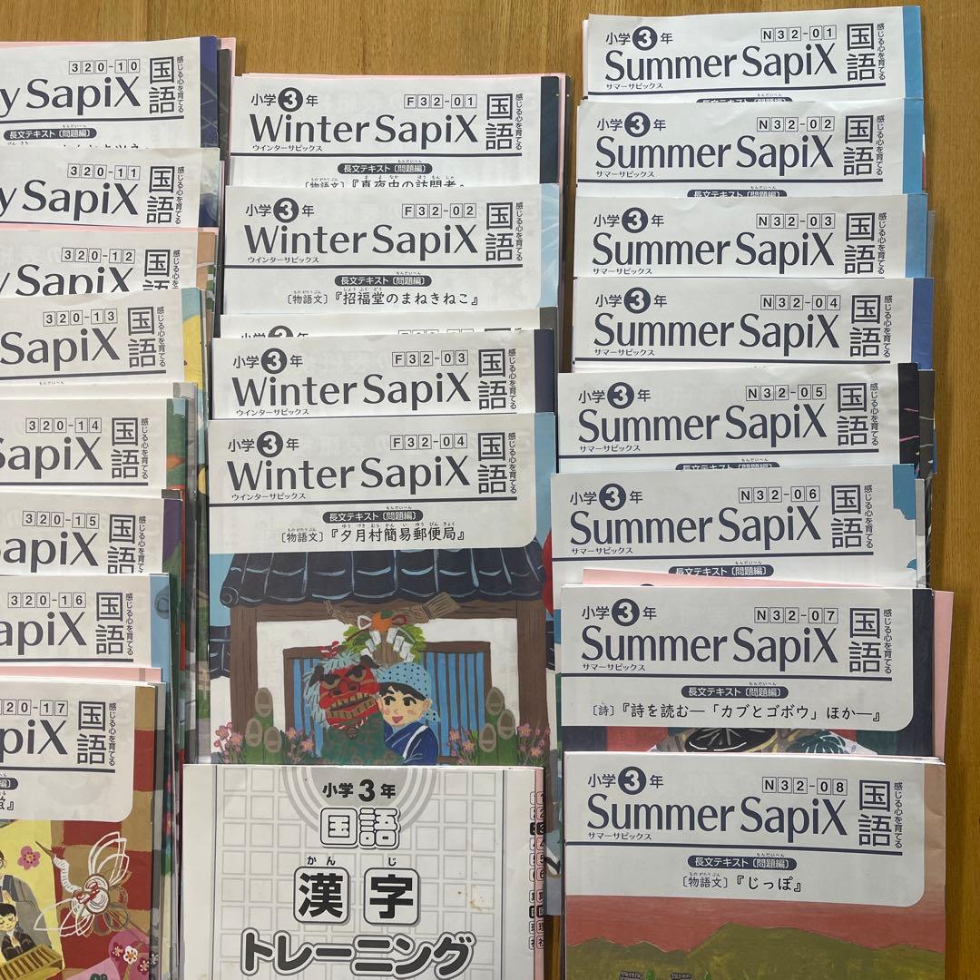 サピックス　国語　3年生 Daily・Winter・Summerセット