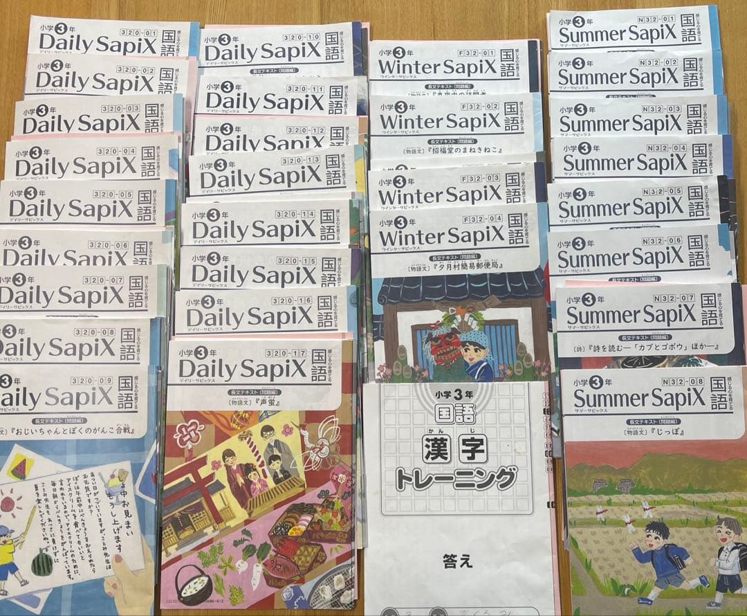 サピックス　国語　3年生 Daily・Winter・Summerセット