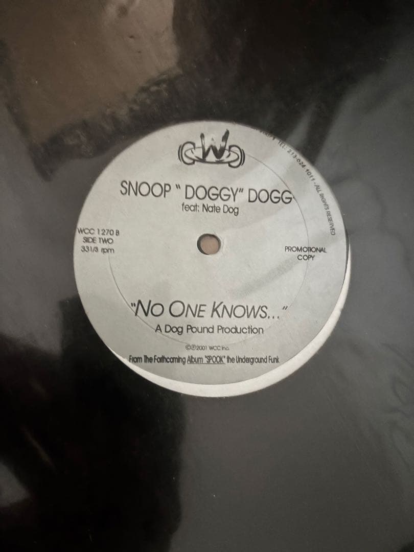 Snoop Doggy Dogg レコードセット