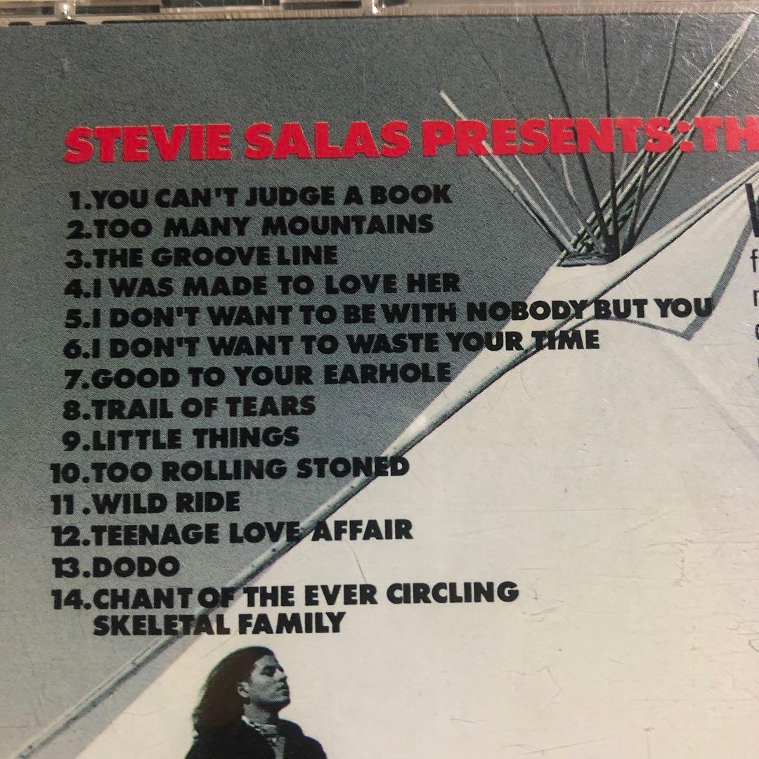 CD　Stevie Salas　Electric Pow Wow　サラス