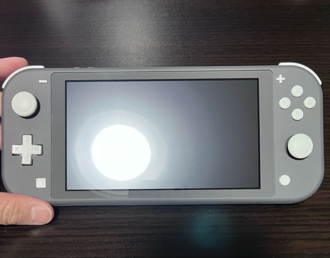 ニンテンドースイッチライト　グレー　箱有り　中古