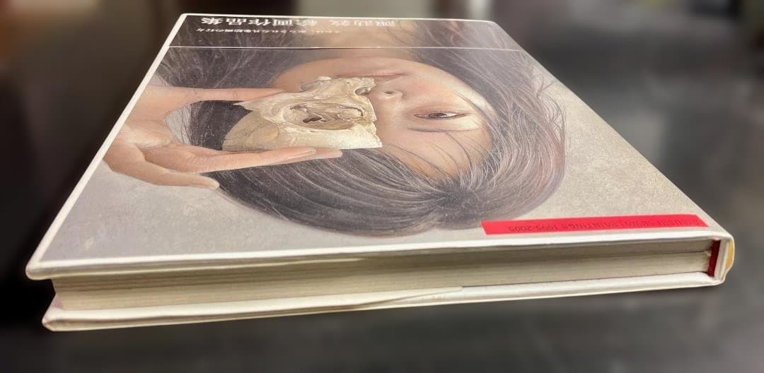 諏訪敦 絵画作品集 初版 帯付き