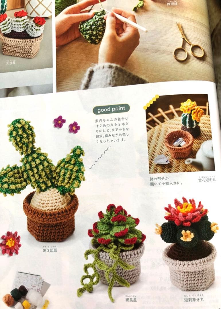 新品未使用品！フェリシモの多肉植物 あみぐるみ全9セット