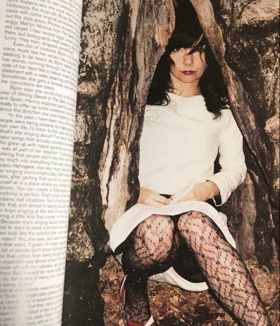 アート・デザイン・音楽 NYLON Magazine June/July 2001 Bjork