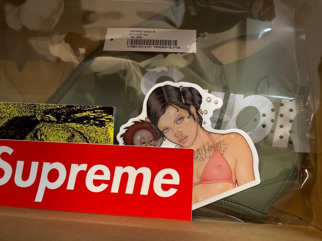 Supreme WINDSTOPPER Facemask シュプリーム 25AW
