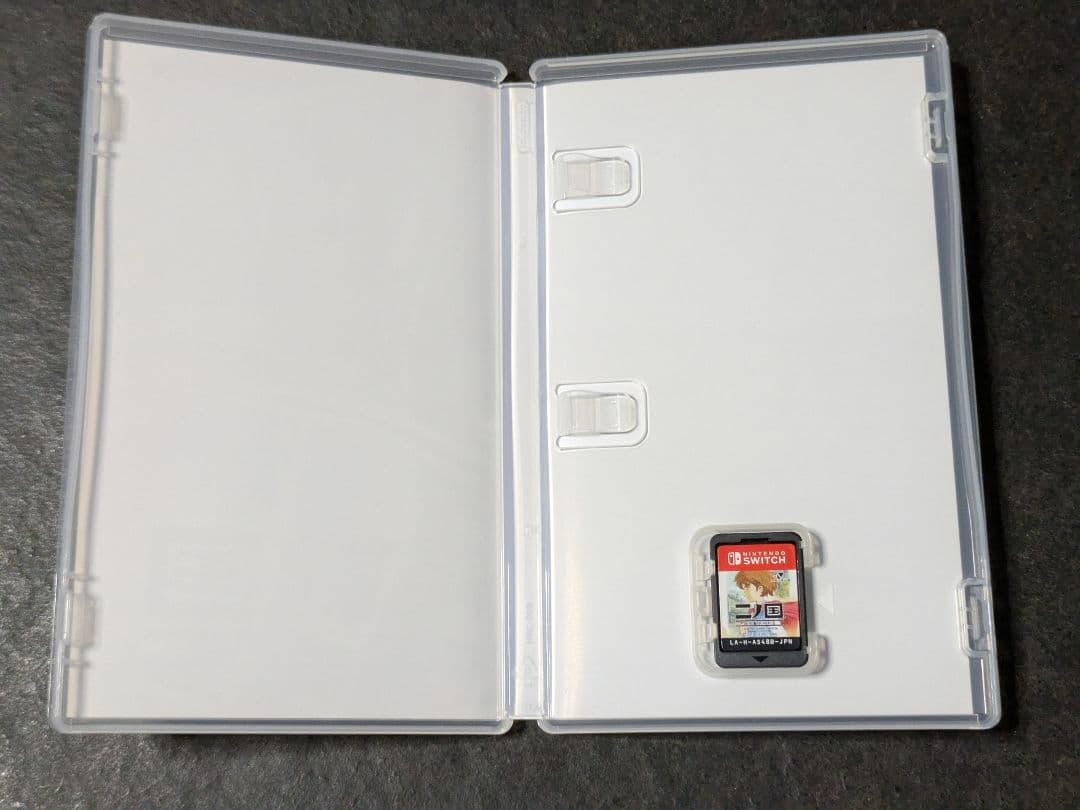 Switch 二ノ国 2セット
