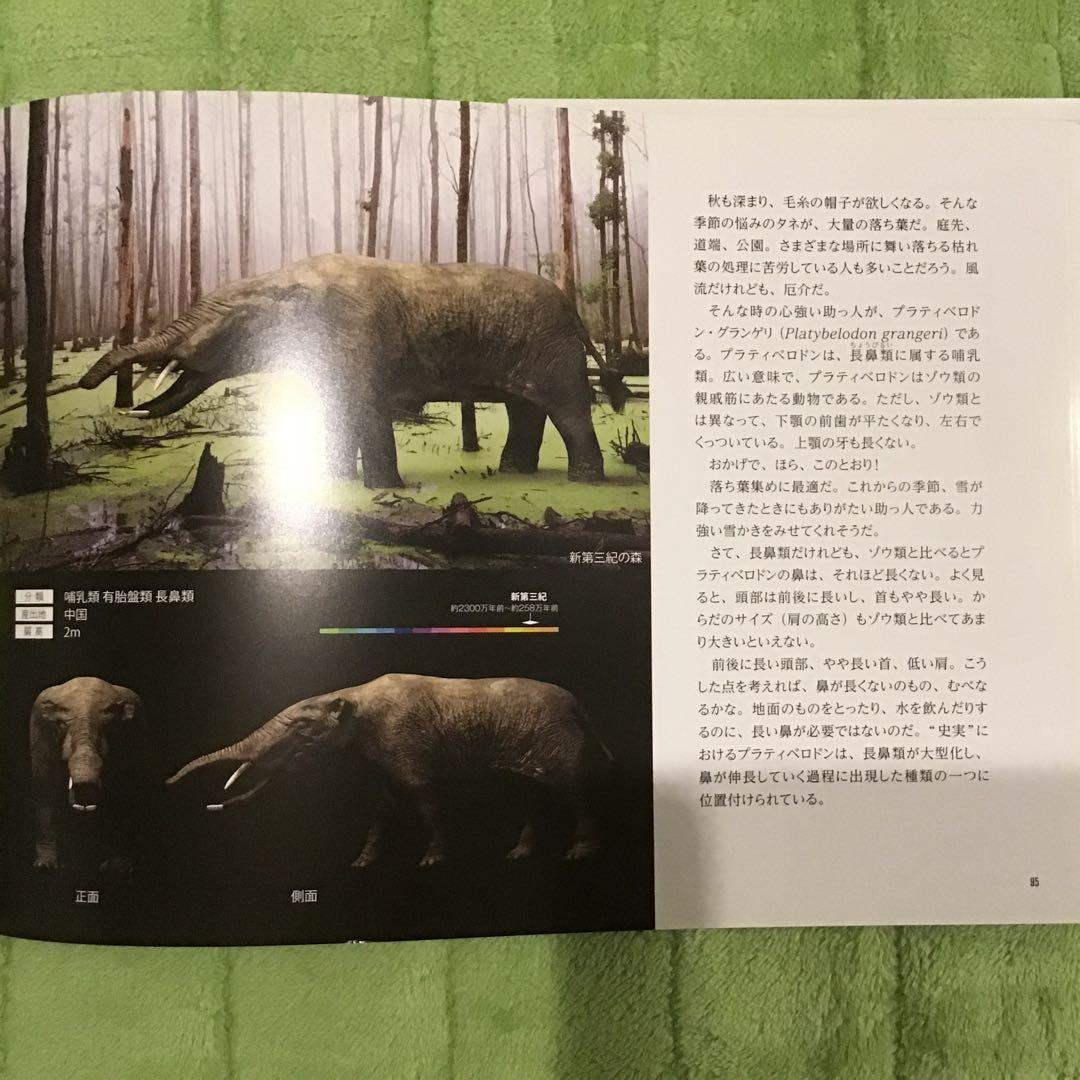 リアルサイズ古生物図鑑 新生代・古生代