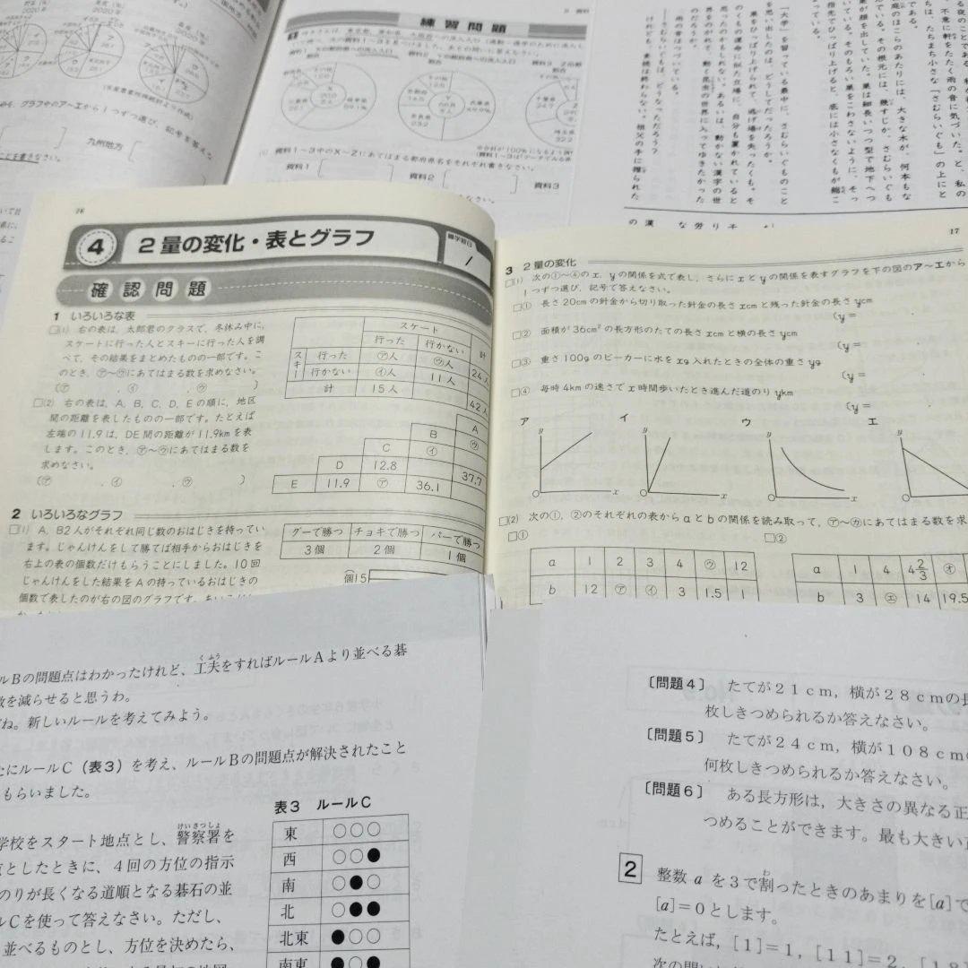 セール中 最新 ena 小6 テキスト パースペクティブ フルセット 本科他含む