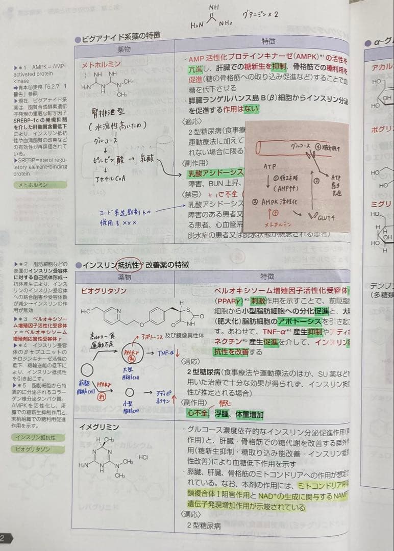 薬剤師国家試験参考書　改訂第15版　青本・青問セット（スケジュール付き）