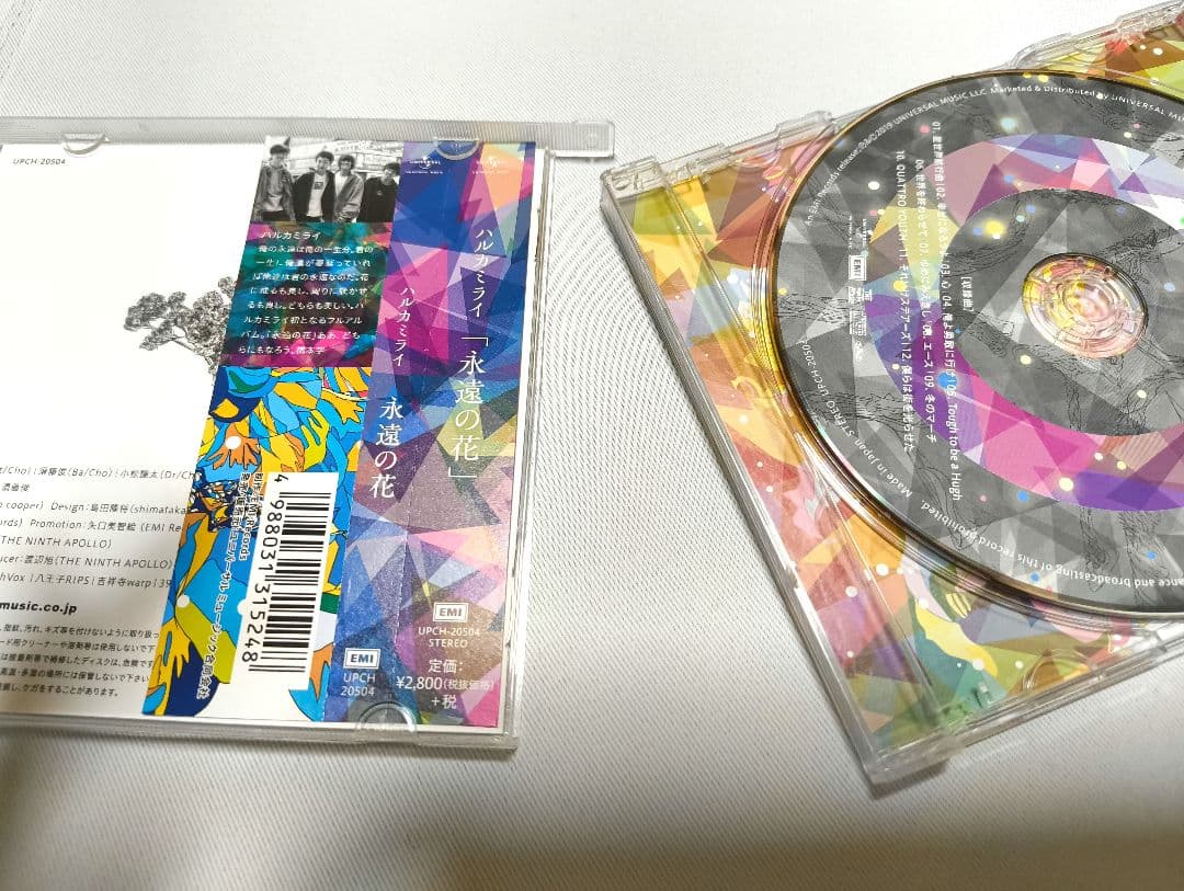 ハルカミライ　CDまとめ売り　8枚セット
