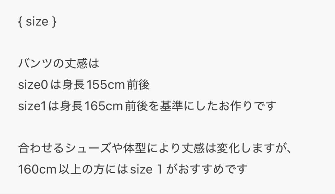 flocky wide denim PT / フロッキー デニムパンツ
