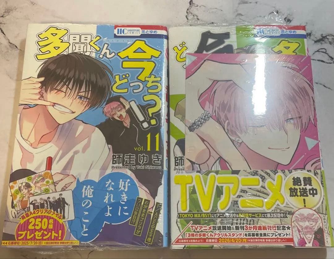 多聞くん今どっち　12巻なし