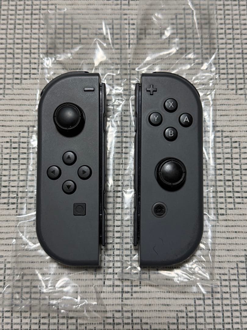 Nintendo Switch 本体 グレー あつまれどうぶつの森セット