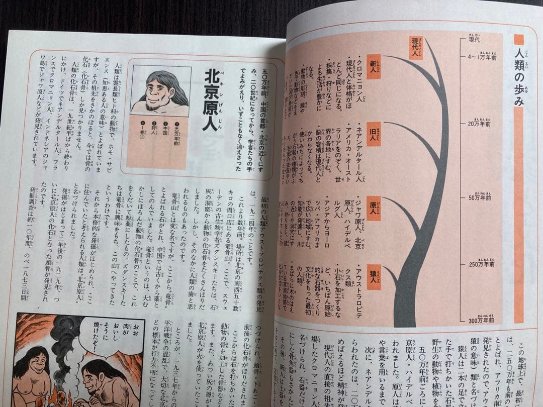 国際情報社 学研まんが物語 人物 世界の歴史 （全15巻＋別巻セット）