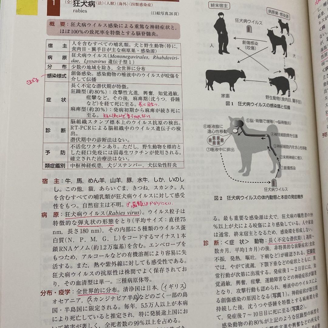 動物の感染症