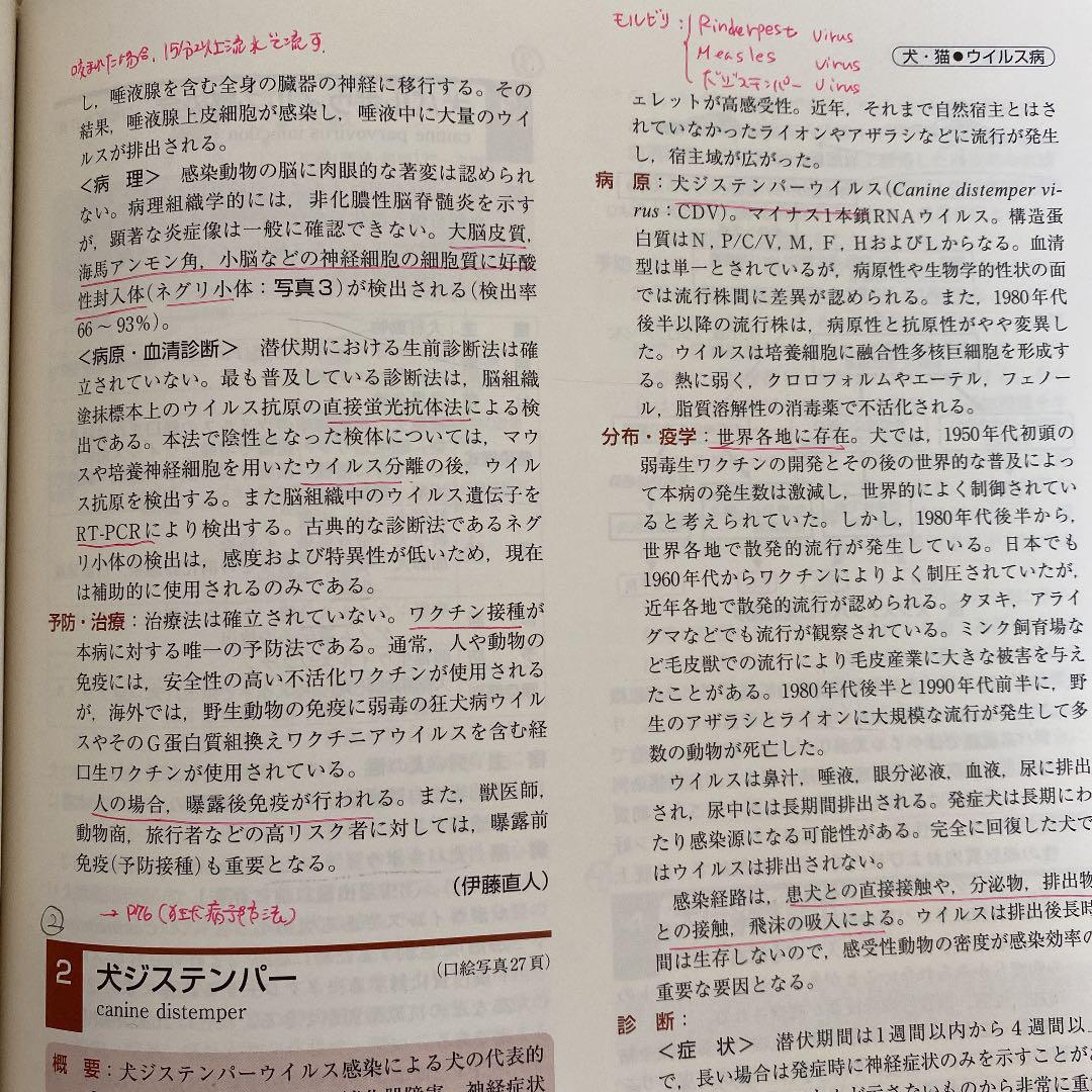 動物の感染症