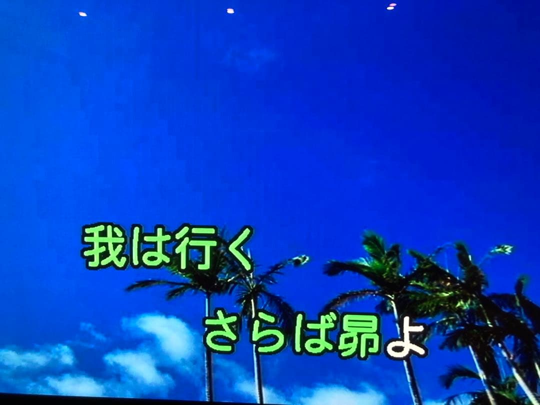 Panasonic DO! KARAOKE SY-MK7　SDカラオケマイク