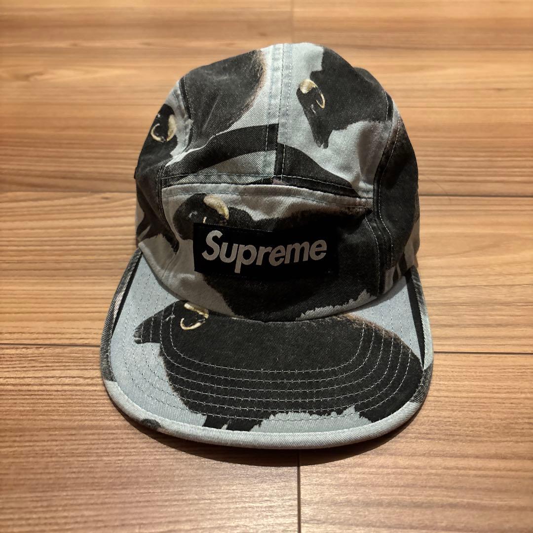 ポテトサラダSupreme Damien Hirst Camp Cap