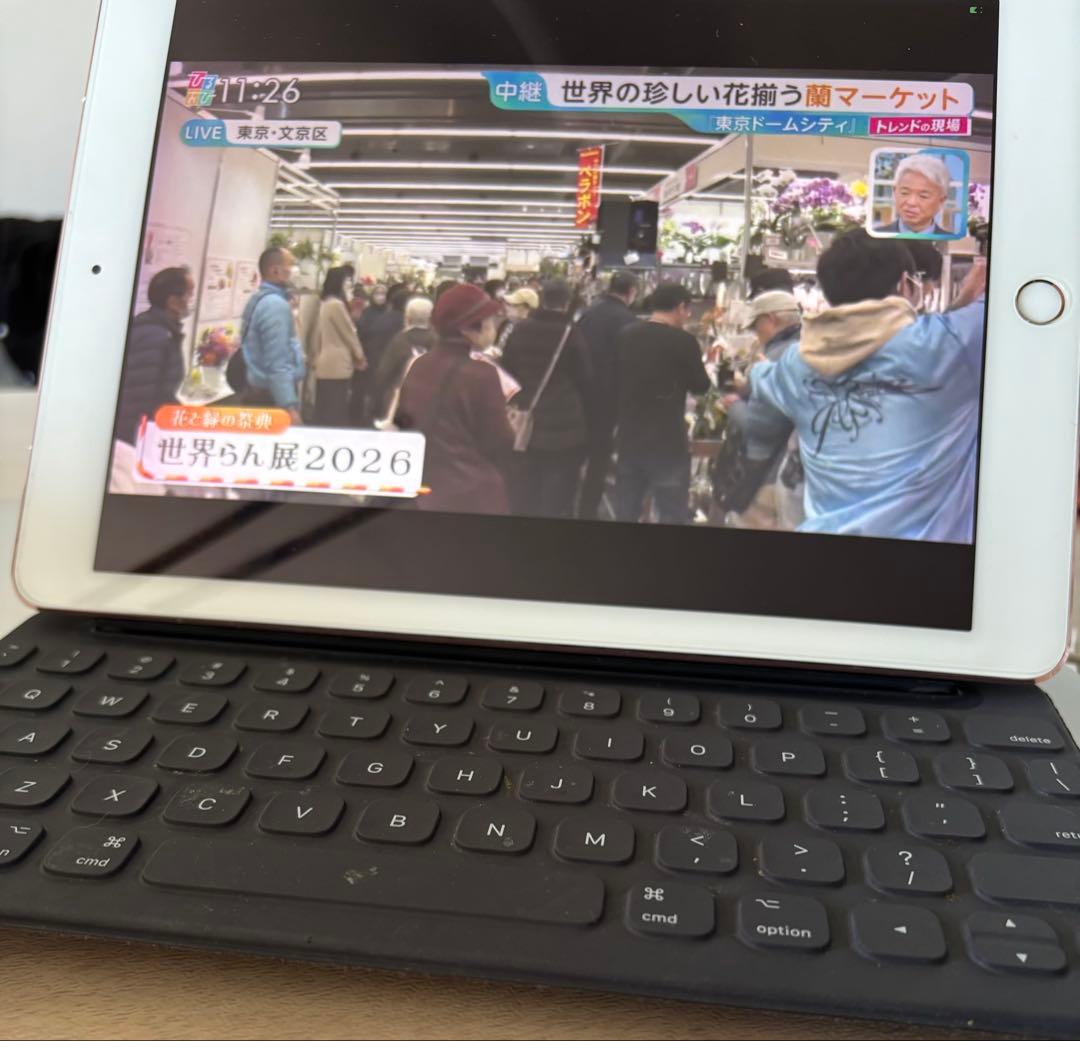 S*a様 iPad Pro9.7 Wi-Fi+SIMフリー128GB完動品+3