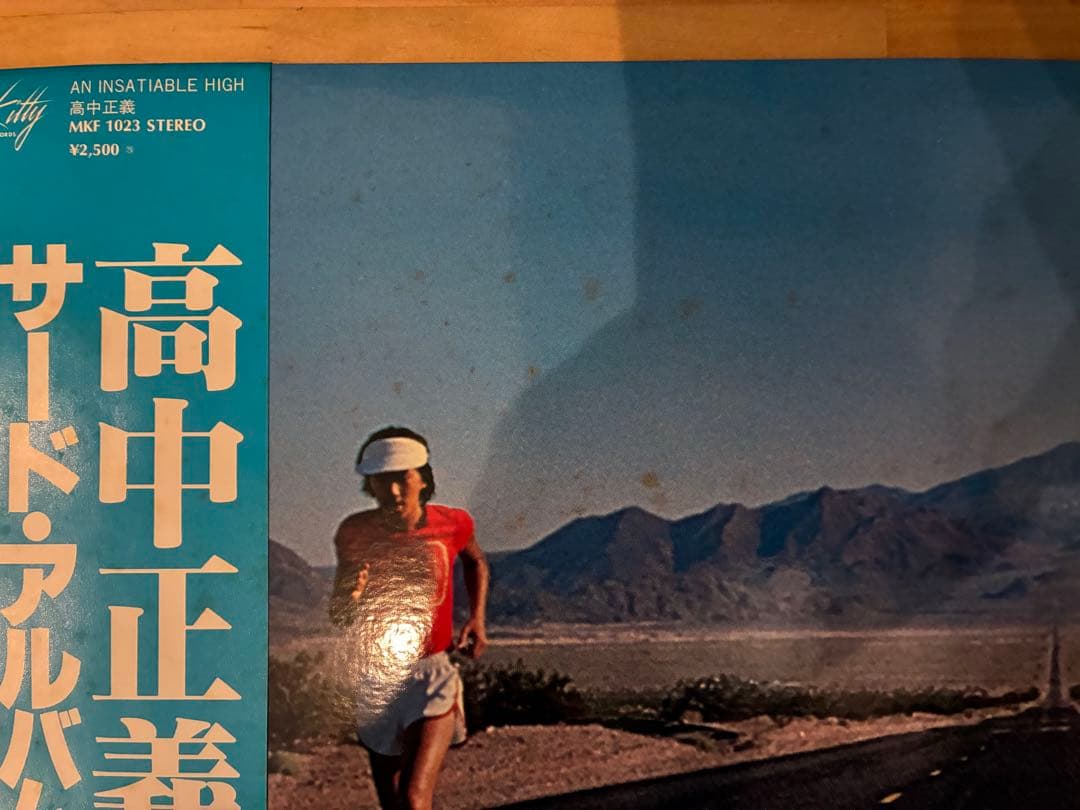 高中正義 / AN INSATIABLE HIGH LPレコード
