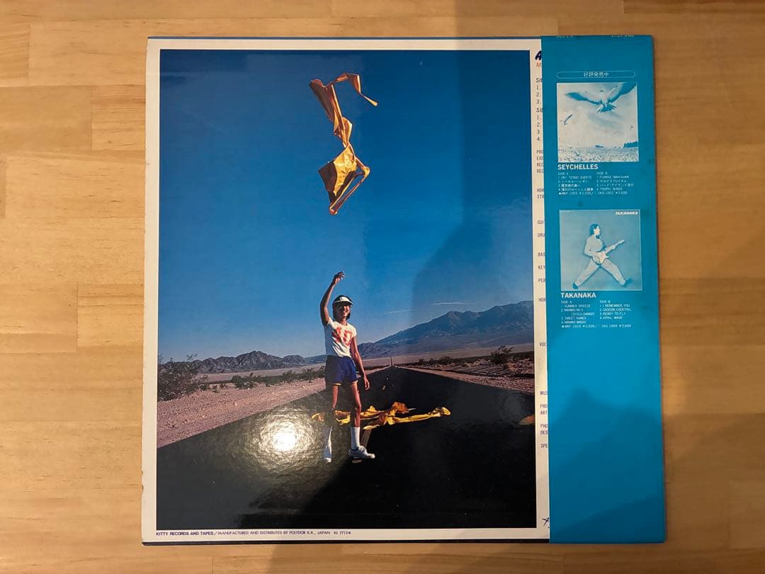 高中正義 / AN INSATIABLE HIGH LPレコード