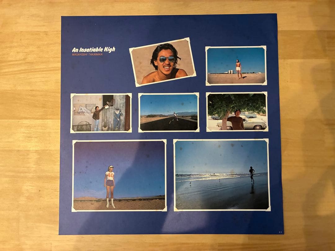 高中正義 / AN INSATIABLE HIGH LPレコード