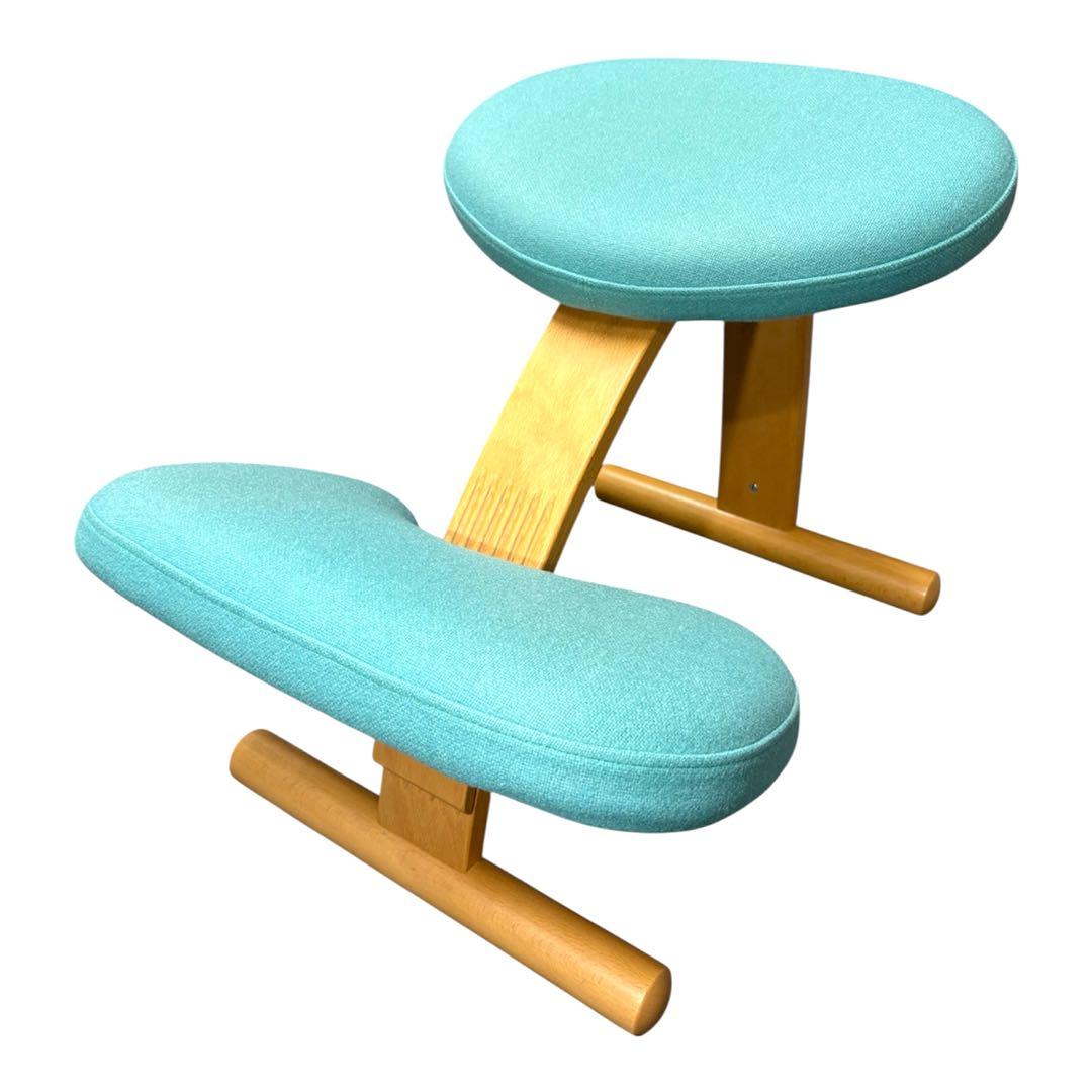 【美品】カバー付き　Rybo社 リボ社 バランスチェア バランスイージー