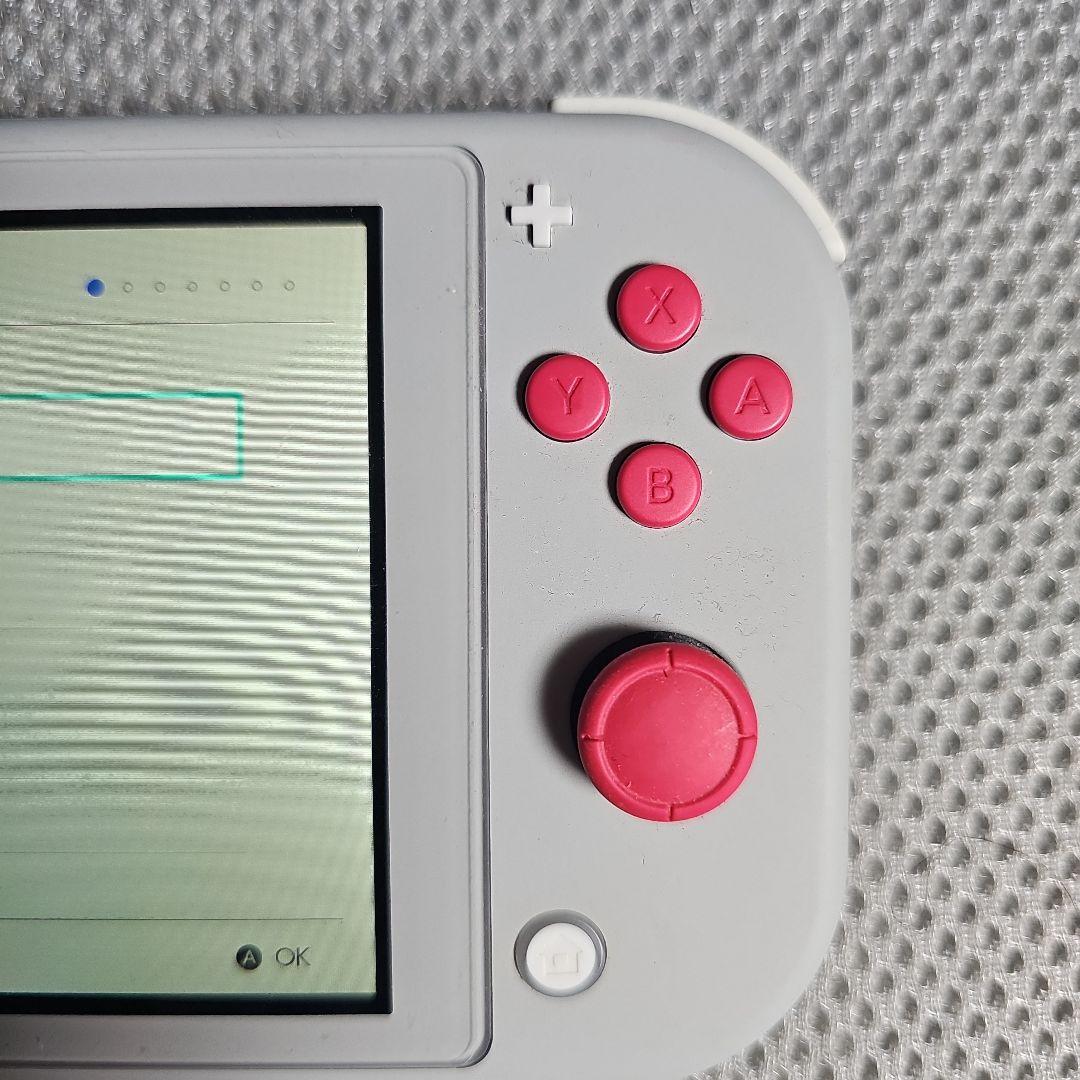 Nintendo Switch Lite ザシアン・ザマゼンタ 本体