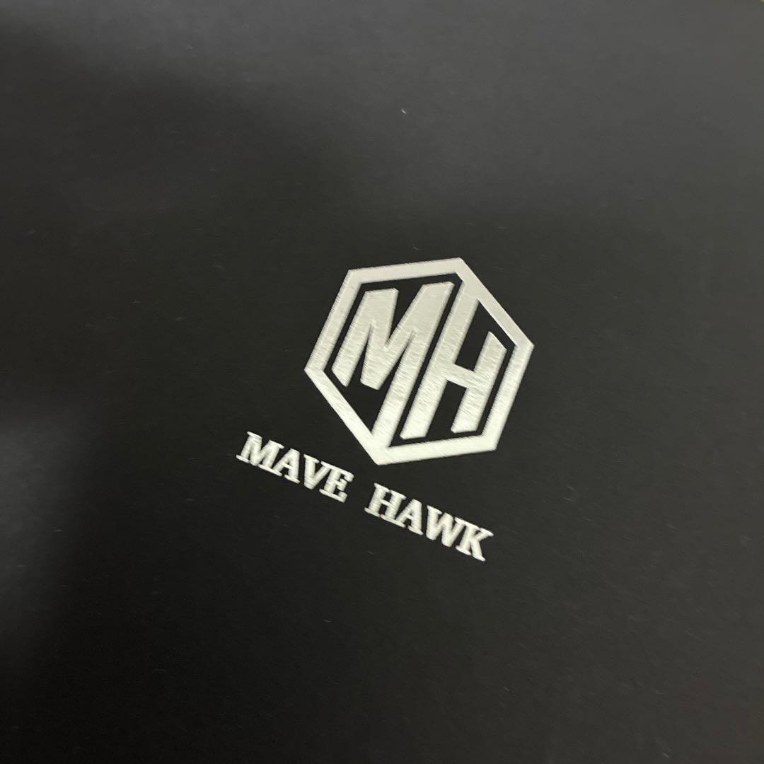 ✴︎飯田将成選手✴︎ MAVE HAWK ブラックサングラス