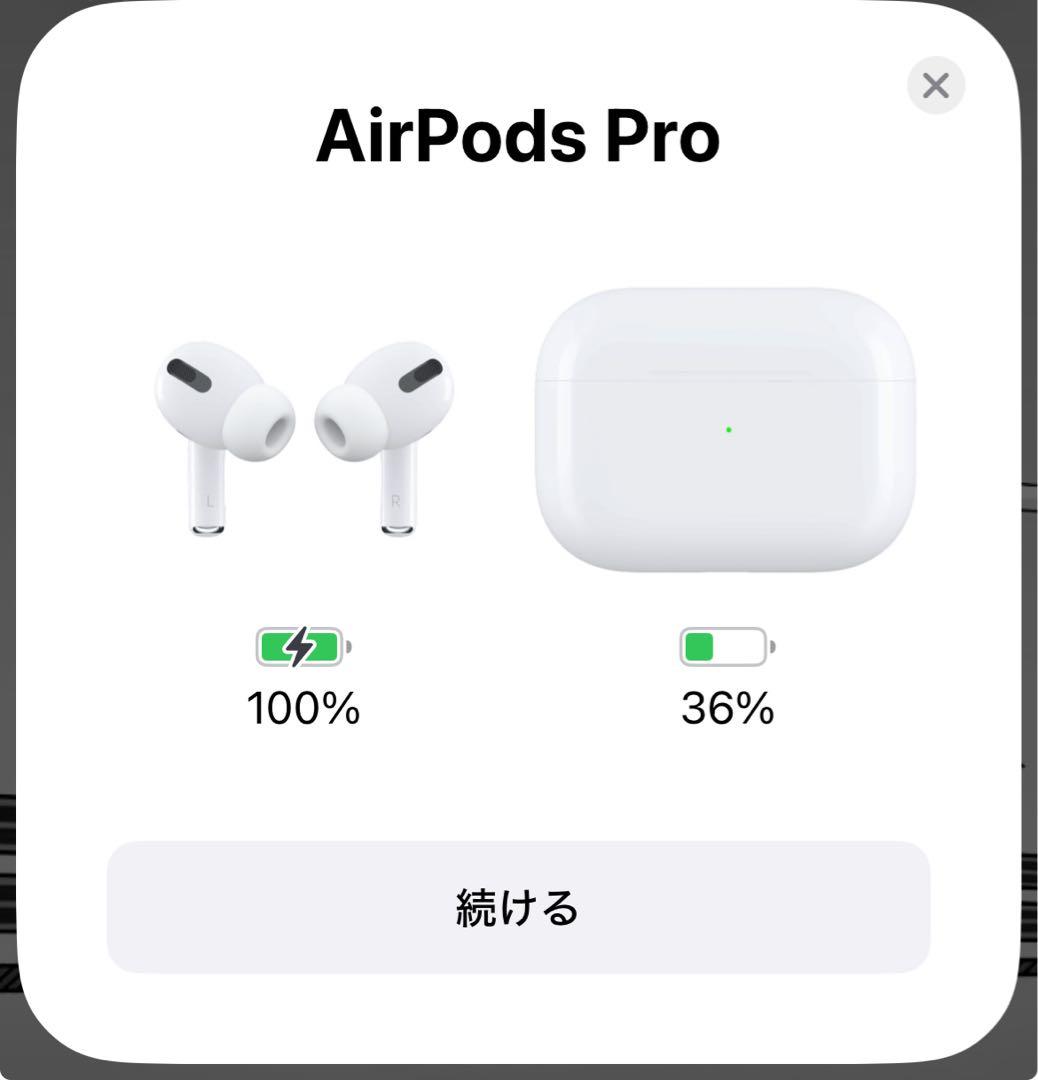 【正規品】【即購入可】Apple AirPodsPro 必ず商品の説明を参照