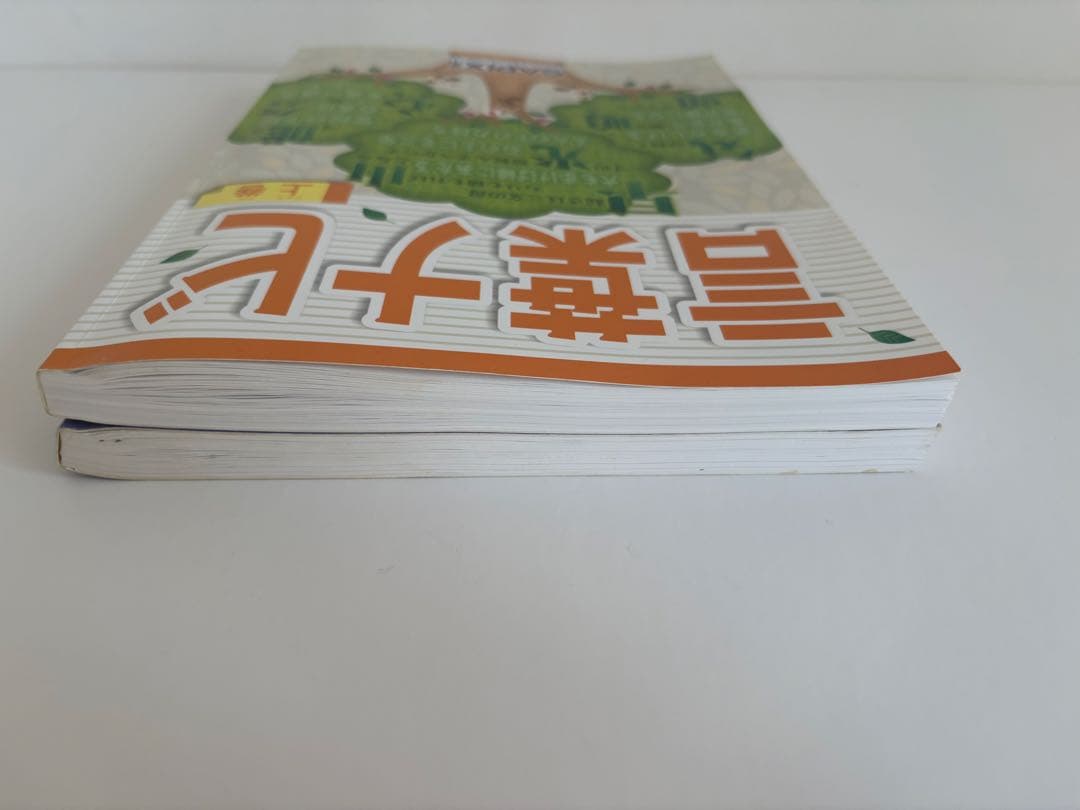 【赤シート2枚付き•書き込みなし】サピックス　言葉ナビ　上巻•下巻　2冊セット