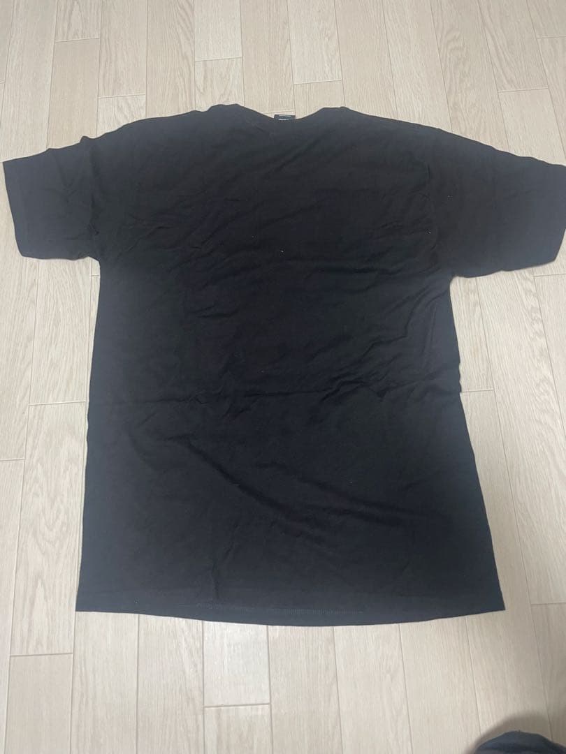 STUSSY Tシャツ　未使用品