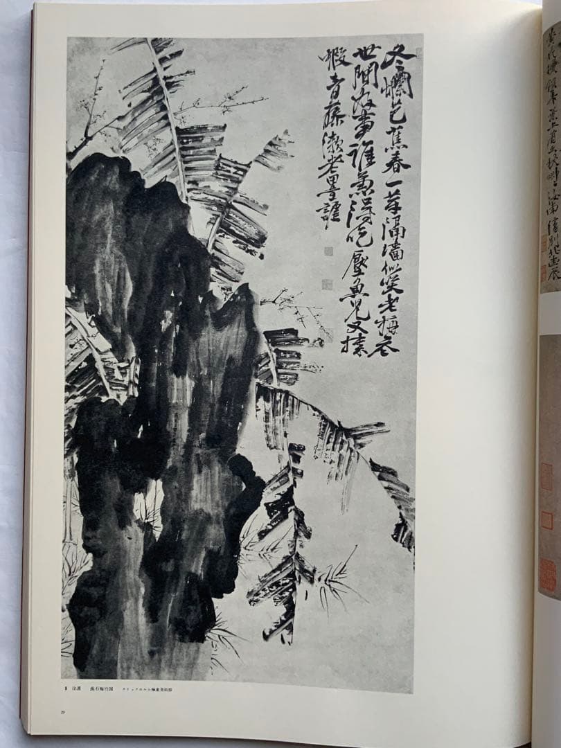 『文人画粋編　徐渭 董其昌』限定980部　気魄漲る徐渭　南宋画の董其昌　豪華大型