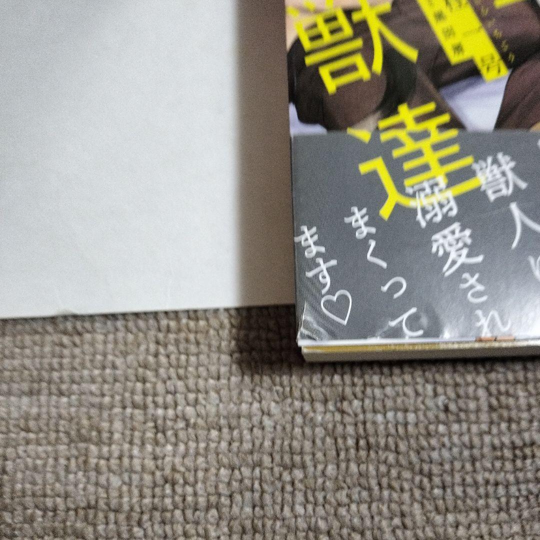 bl小説 愛を与える獣達、恋に焦がれる獣達シリーズ13冊セット
