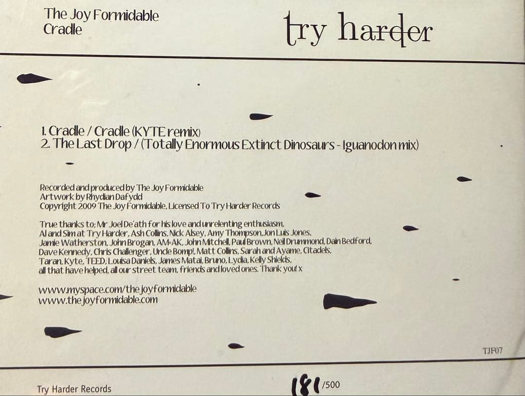 The Joy Formidable Cradle サイン入り2枚組 7インチ
