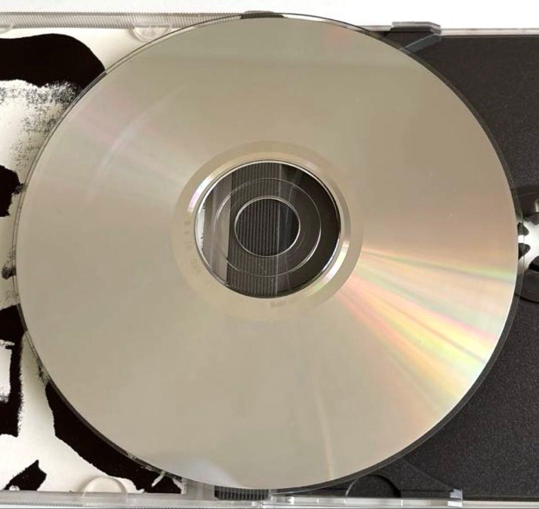 THE STUPIDS/Retard Picnic/廃盤名盤 CLAYCD117