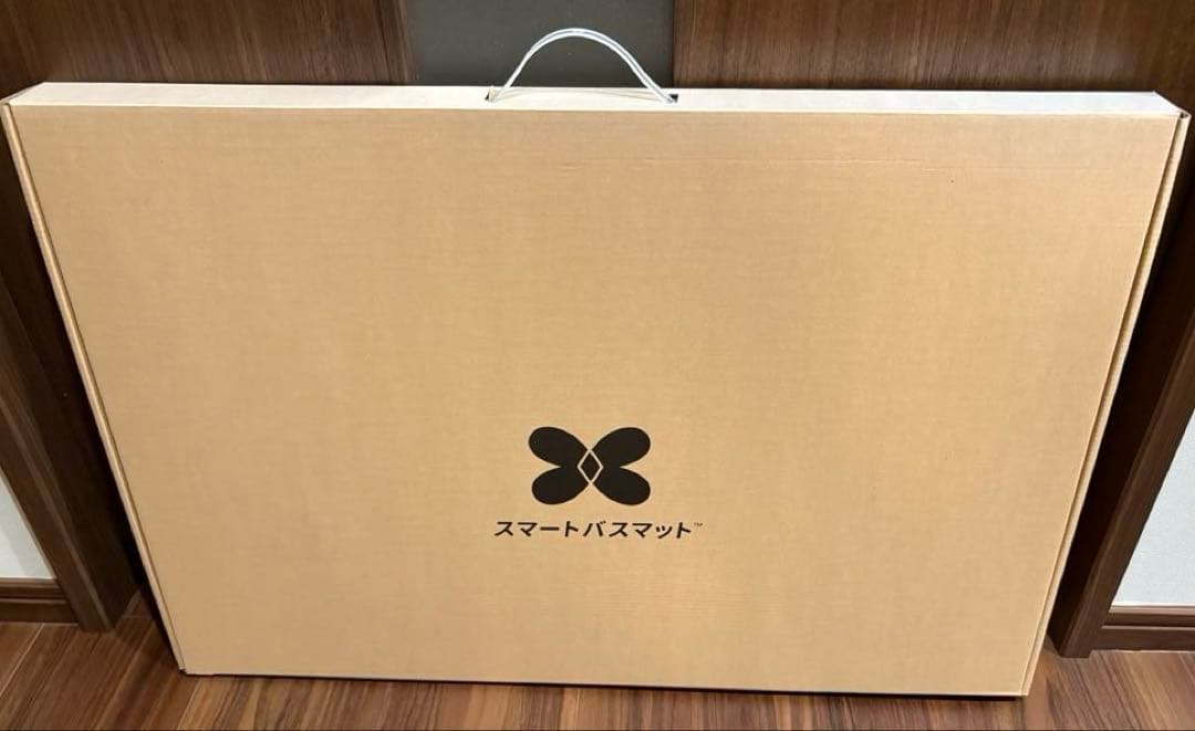 ISSIN スマートバスマット グレー SBM22U01LJ-GY