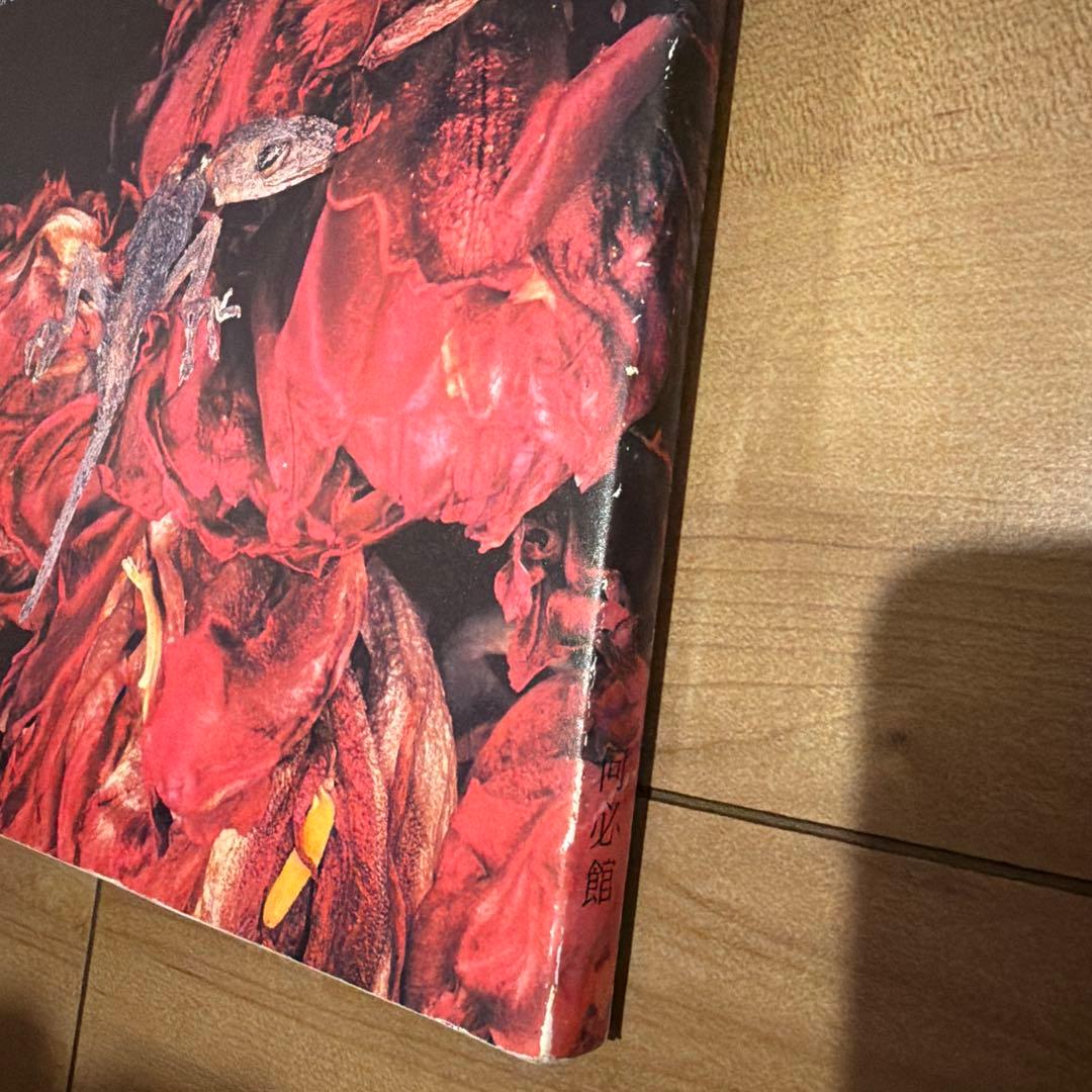 【レア】荒木経惟　花人生　Araki Nobuyoshi