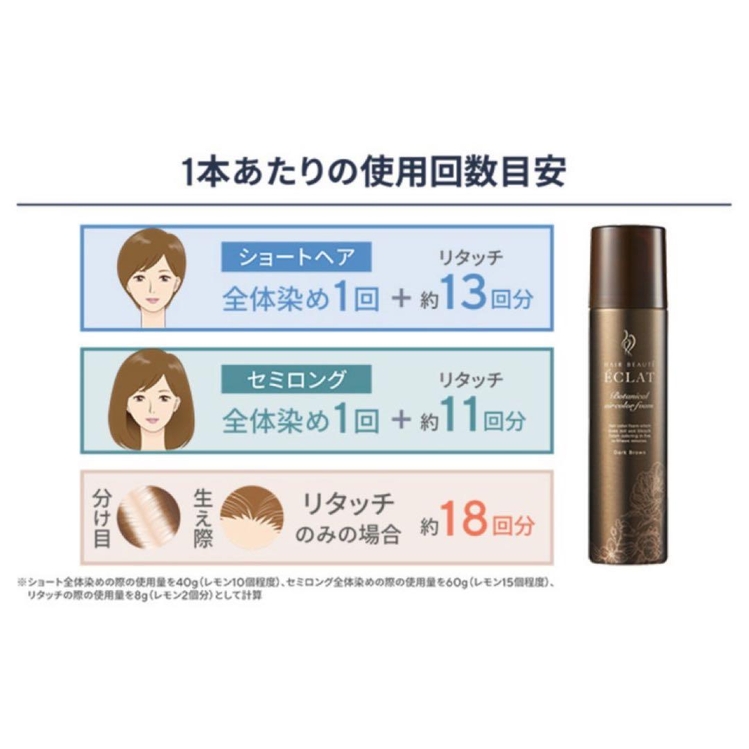 ★新品未使用品★ ヘアボーテ エクラ ボタニカルエアカラーフォーム