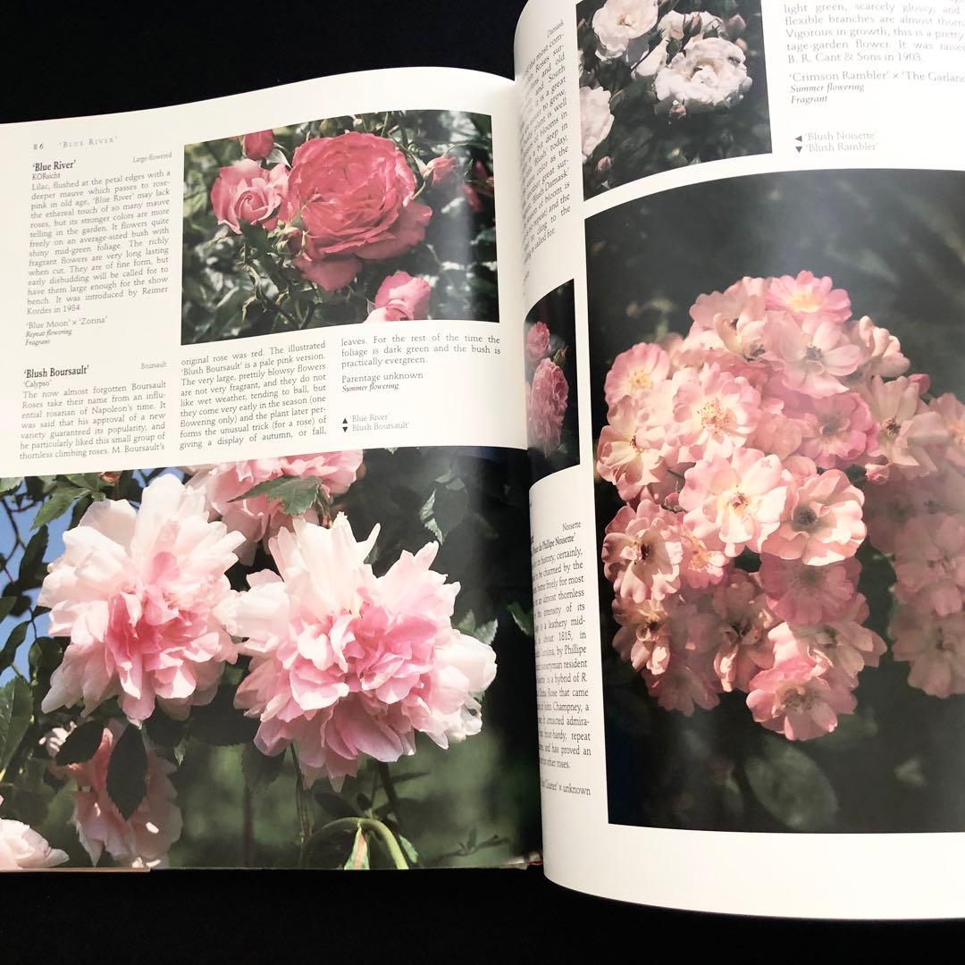 究極のバラ図鑑「The Ultimate Rose Book」1500種掲載