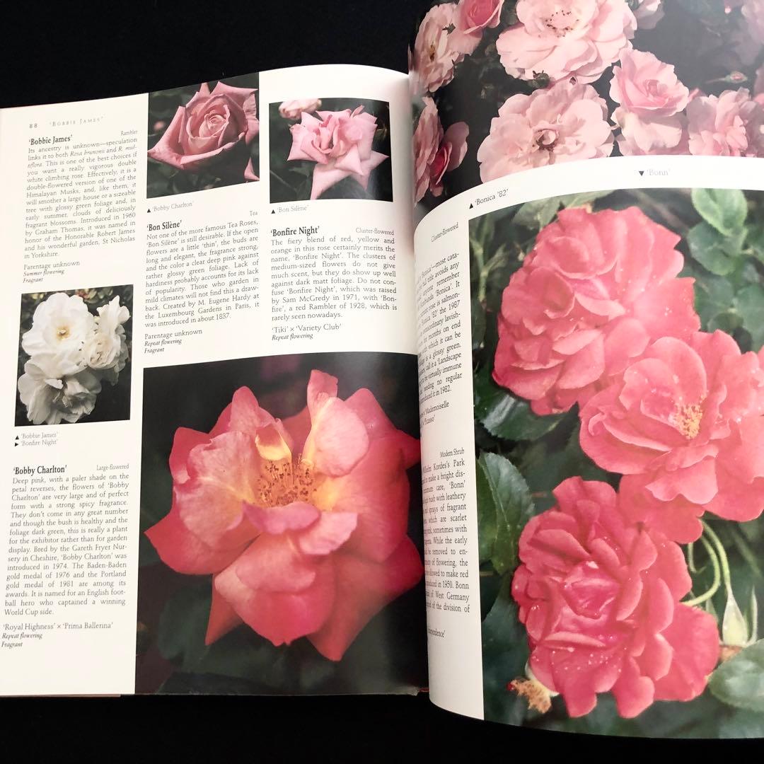 究極のバラ図鑑「The Ultimate Rose Book」1500種掲載