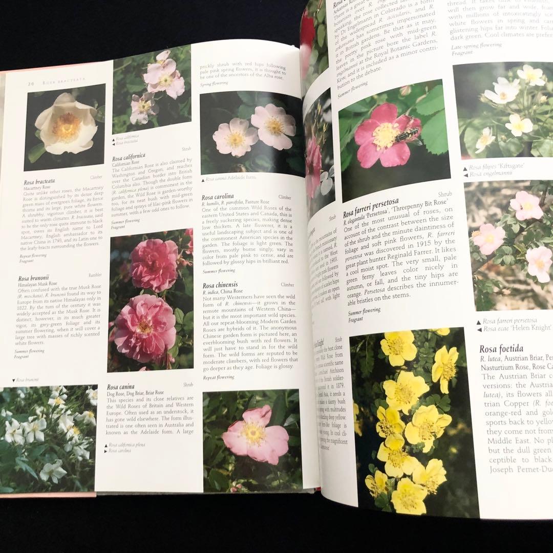究極のバラ図鑑「The Ultimate Rose Book」1500種掲載