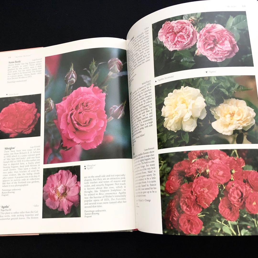 究極のバラ図鑑「The Ultimate Rose Book」1500種掲載