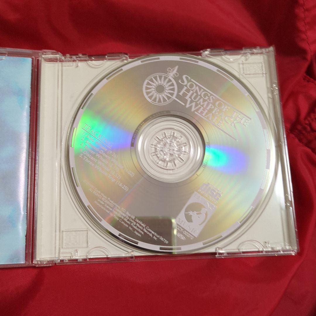 その他 SONGSOFTHEHUMPBACKWHALE