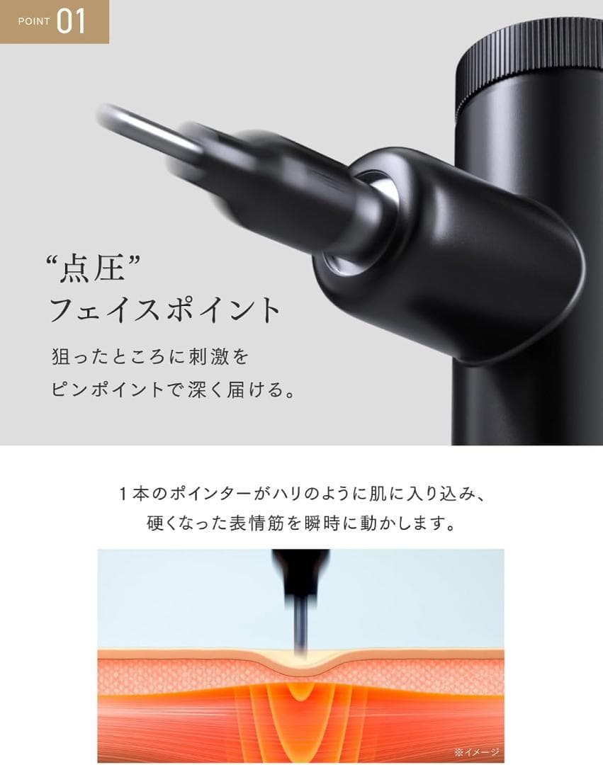 【新品】MYTREX REBIVE LIFT POINTER フェイスポイント